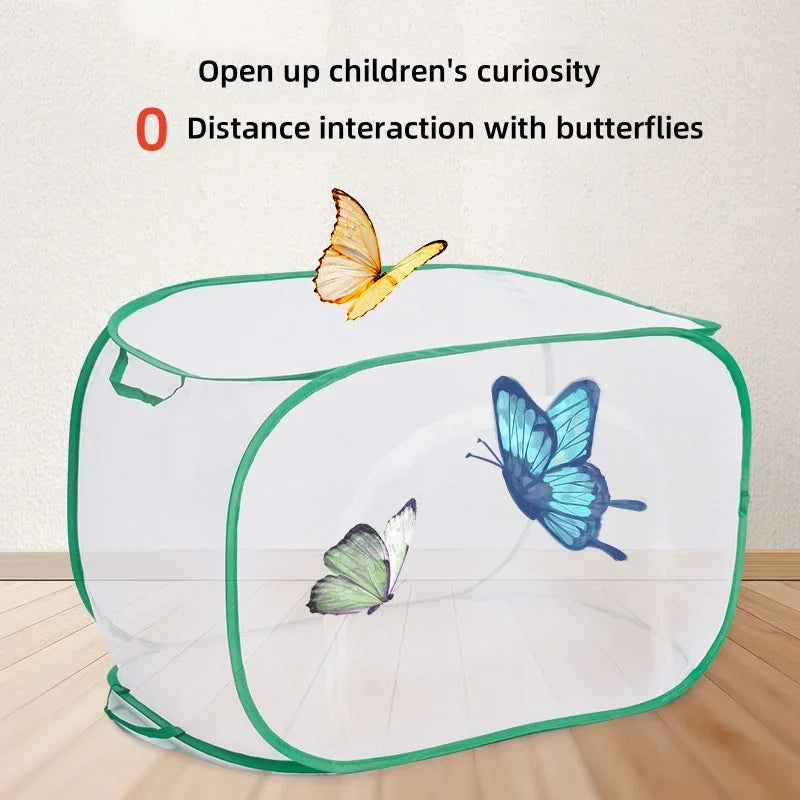 Collapsible Insect Mesh Cages Pop-up